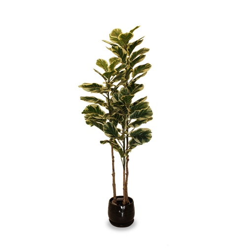 Planta Artificial Ficus con Manchas 